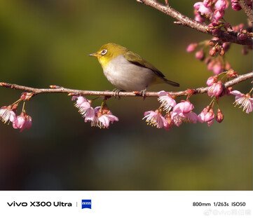 Vivo X300 Ultra stars in official new 800 mm camera samples before release - NotebookCheck.net News