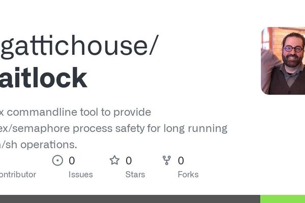 WaitLock: Revolutionizing Process Synchronization in Shell Scripts