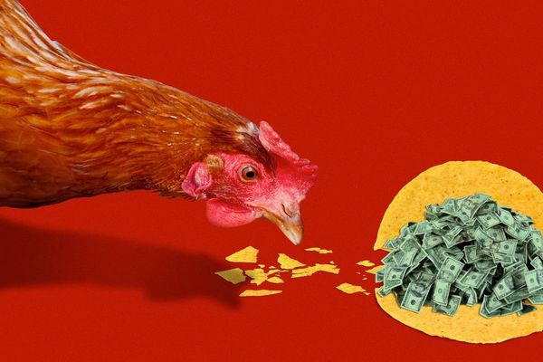 Wall Street's Diminished Influence Over Trump Policy Alters Tech Sector Dynamics