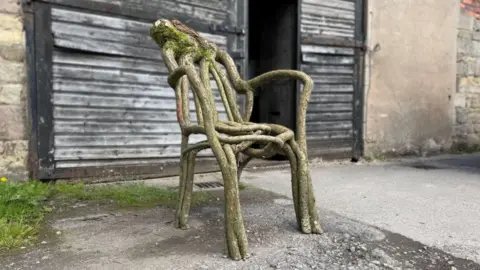 A chair grown out of tree branches sitting outside the studio of Full Grown, in Derbyshire.