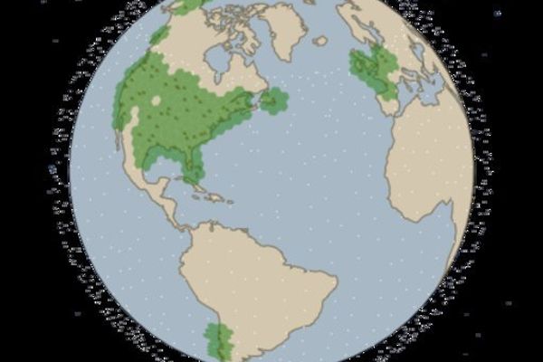 WebGL-Powered Satellite Tracker Brings Real-Time Orbital Visualization to the Browser