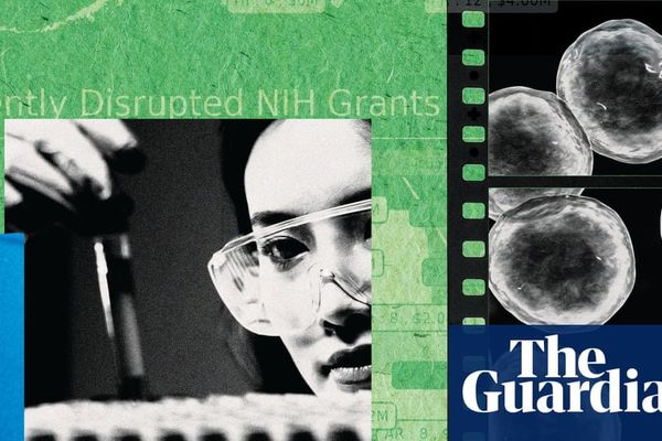 US Science Faces Brain Drain as Funding Cuts Push Researchers Abroad