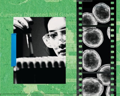 A scientist inspects a test tube next to a film strip of cells