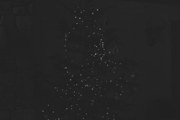 The Raw Truth: How Your Camera's Sensor Data Becomes a Photo