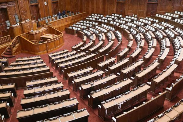 Japan's Election Seat Thresholds: Parliamentary Control and Policy Implications