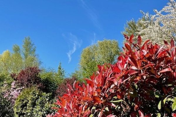 When Machines Mirror Their Makers: The Ironies of Artificial Intelligence