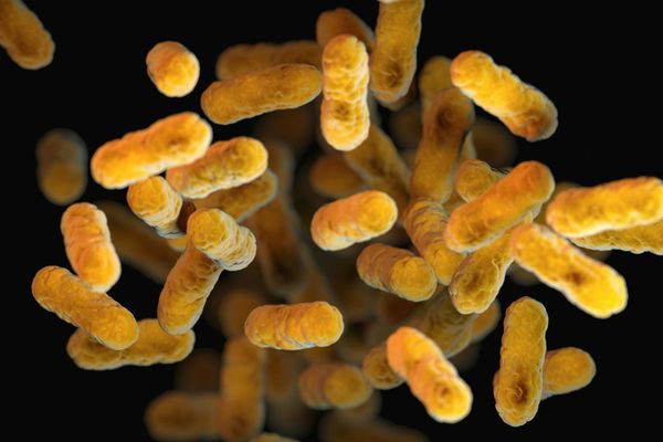 When Public Health Goes Offline: How Louisiana’s Silence Turned a Predictable Outbreak into a Data Governance Failure