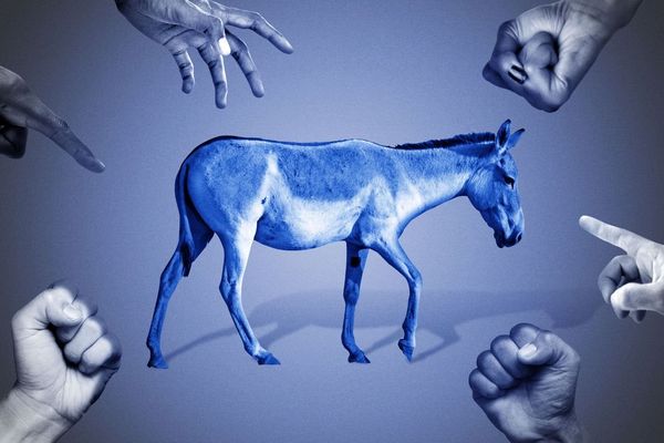 Why House Democrats' campaign arm is spending against fellow Democrats