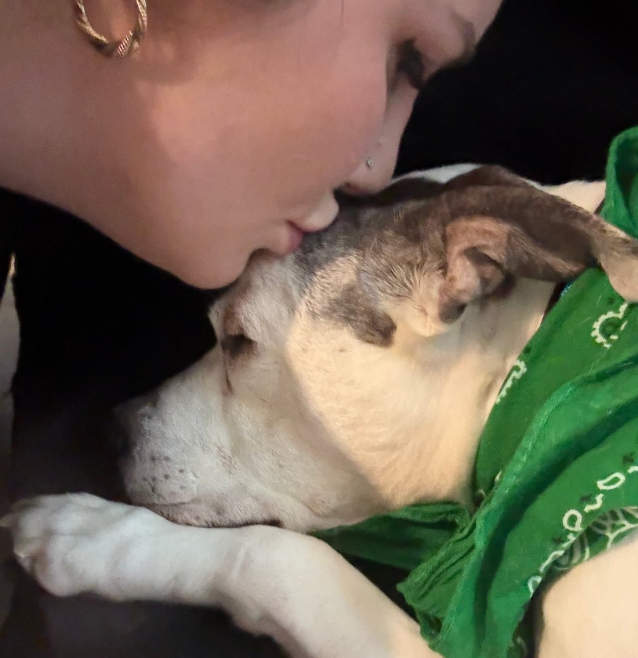 A woman kisses the forehead of a gray and white pit bull who is snuggling into her shoulder