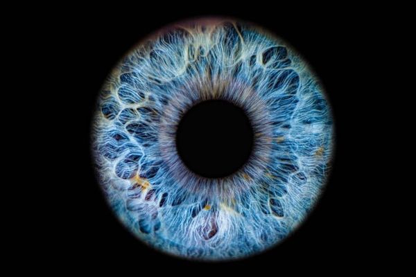 WorldCoin's latest pitch: Scan your eyeballs to prove AI agents represent you