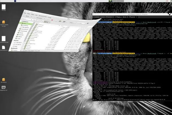 YSERVER: A Modern X11 Server Built From Scratch In Rust With Claude Code