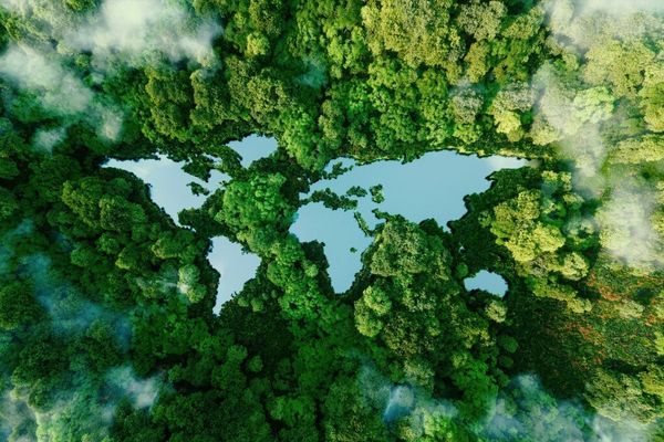 ZTE Sustainability Report 2025: AI‑Driven Progress Toward Climate, Digital Inclusion and Governance Standards